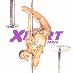 Drążek do Pole Dance X-POLE XPERT NXN